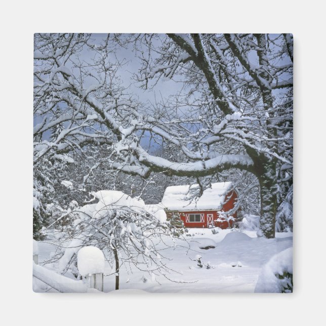 USA, Oregon, Clackamas County. Fresh snow Magnet (Front)