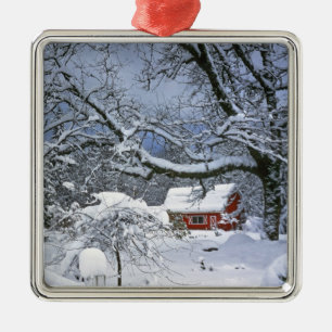 USA, Oregon, Clackamas County. Fresh snow Metal Tree Decoration