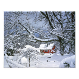 USA, Oregon, Clackamas County. Fresh snow Photo Print