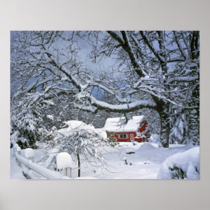 USA, Oregon, Clackamas County. Fresh snow Poster