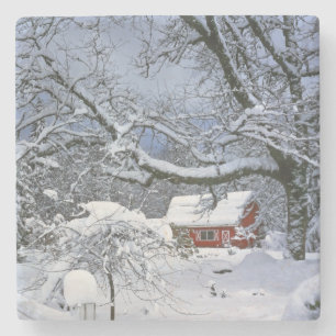USA, Oregon, Clackamas County. Fresh snow Stone Coaster