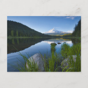 USA, Oregon, Clackamas County, View of Trillium 3 Postcard