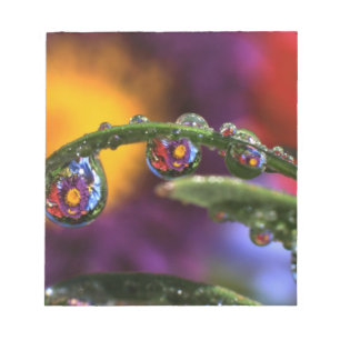 USA, Oregon, Close-up abstract of purple Notepad