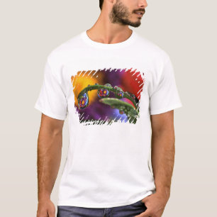 USA, Oregon, Close-up abstract of purple T-Shirt