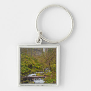 USA, Oregon, Columbia Gorge Key Ring