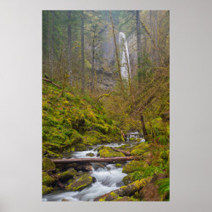 USA, Oregon, Columbia Gorge Poster