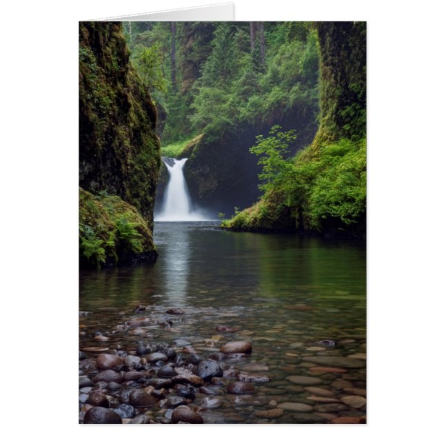 USA, Oregon, Columbia River Gorge 5 (Front)