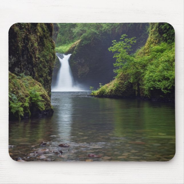 USA, Oregon, Columbia River Gorge 5 Mouse Pad (Front)