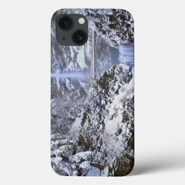 USA, Oregon, Columbia River Gorge Case-Mate iPhone Case (Back)