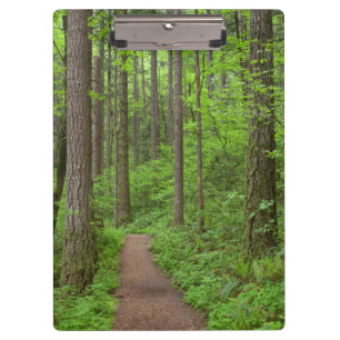 USA, Oregon, Columbia River Gorge. Elowah Falls Clipboard