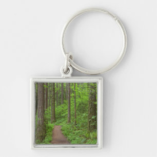 USA, Oregon, Columbia River Gorge. Elowah Falls Key Ring