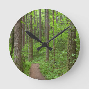 USA, Oregon, Columbia River Gorge. Elowah Falls Round Clock