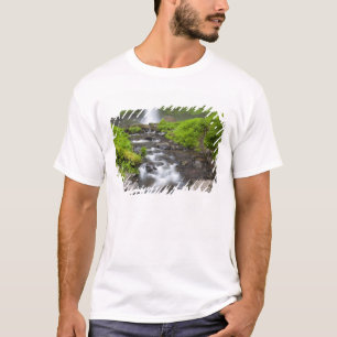 USA, Oregon, Columbia River Gorge, Latourell T-Shirt