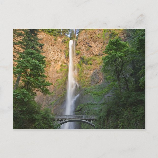 USA, Oregon, Columbia River Gorge, Multnomah Postcard (Front)