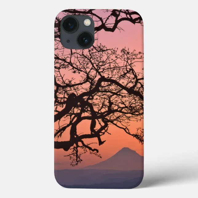 USA, Oregon, Columbia River Gorge National 2 Case-Mate iPhone Case (Back)