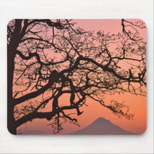 USA, Oregon, Columbia River Gorge National 2 Mouse Pad