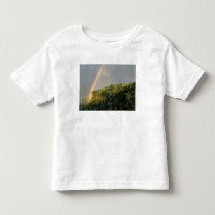 USA, Oregon, Columbia River Gorge National Toddler T-Shirt