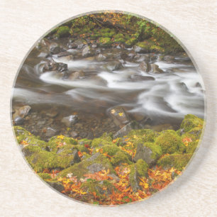 USA, Oregon, Columbia River Gorge, Tanner Creek 2 Coaster