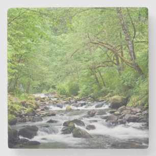 USA, Oregon, Columbia River Gorge, Tanner Creek 4 Stone Coaster