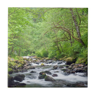 USA, Oregon, Columbia River Gorge, Tanner Creek 4 Tile