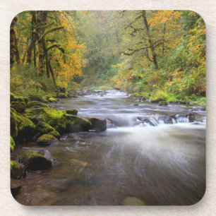 USA, Oregon, Columbia River Gorge, Tanner Creek Coaster
