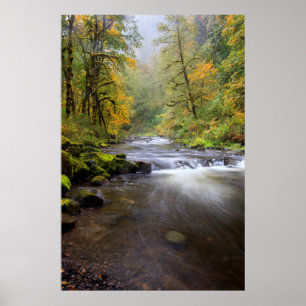 USA, Oregon, Columbia River Gorge, Tanner Creek Poster