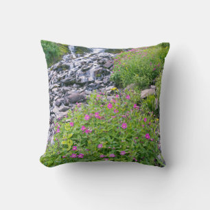 USA, Oregon, Crater Lake National Park Cushion