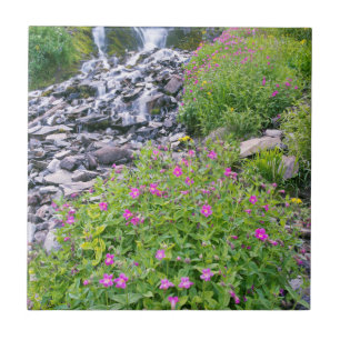 USA, Oregon, Crater Lake National Park Tile