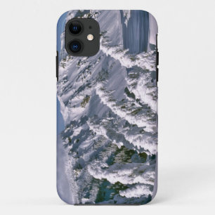 USA, Oregon, Crater Lake NP. Trees bow under the iPhone 11 Case