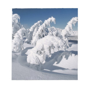 USA, Oregon, Crater Lake NP. Trees droop under a Notepad