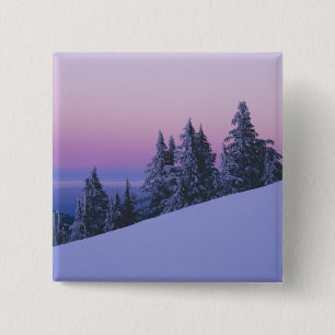 USA, Oregon, Deschutes National Forest, Dusk 15 Cm Square Badge