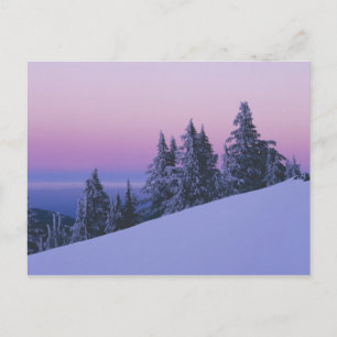 USA, Oregon, Deschutes National Forest, Dusk Postcard