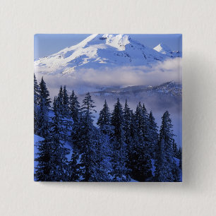 USA, Oregon, Deschutes National Forest, South 15 Cm Square Badge