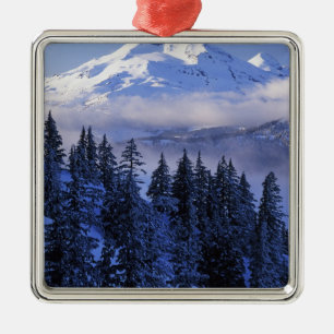 USA, Oregon, Deschutes National Forest, South Metal Tree Decoration