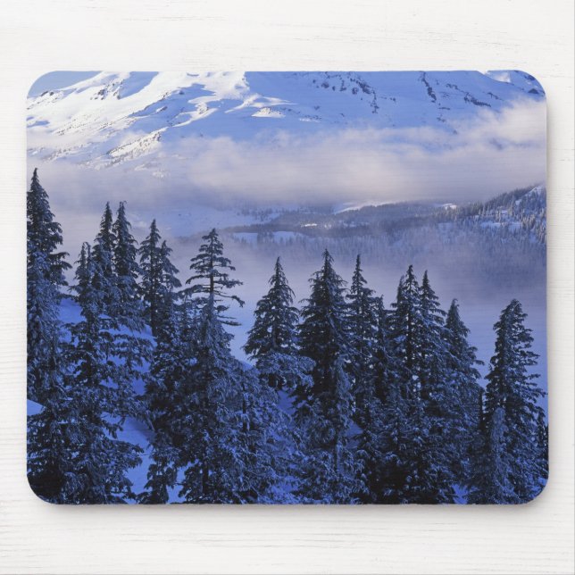 USA, Oregon, Deschutes National Forest, South Mouse Pad (Front)