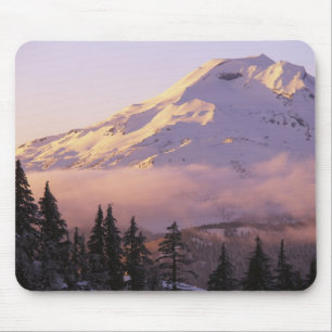 USA, Oregon, Deschutes National Forest, The Mouse Pad