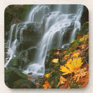 USA, Oregon, Fairy Falls, Columbia River Gorge Coaster