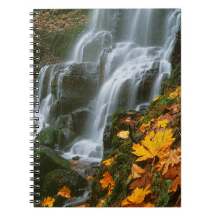 USA, Oregon, Fairy Falls, Columbia River Gorge Spiral Notebook
