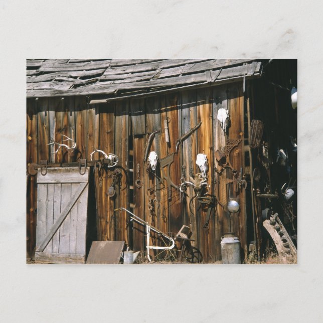 USA, Oregon, Harney County. Old livery stable Postcard (Front)