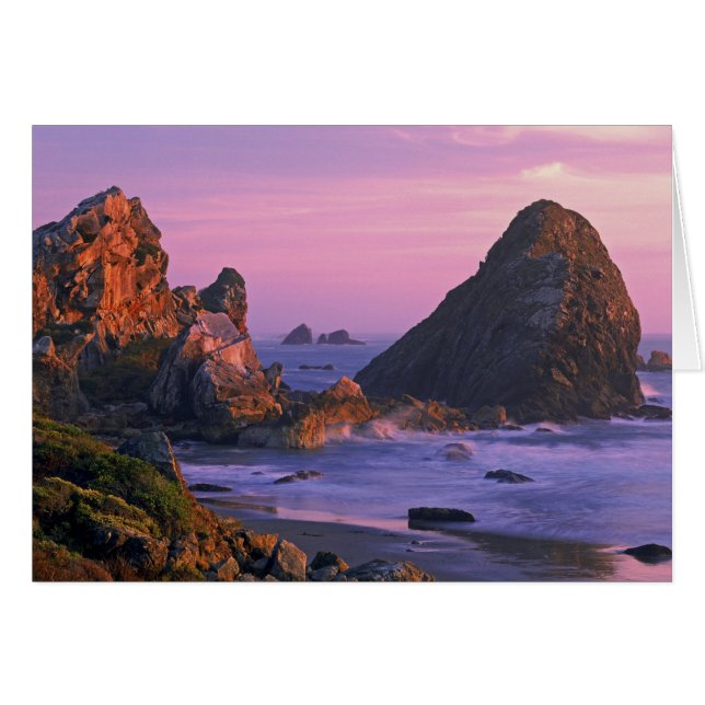 USA, Oregon, Harris State Beach, Brookings. 2 (Front Horizontal)