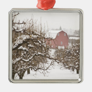 USA, Oregon, Hood River. Snow covered Apple Metal Tree Decoration