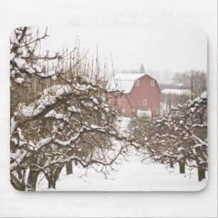 USA, Oregon, Hood River. Snow covered Apple Mouse Pad