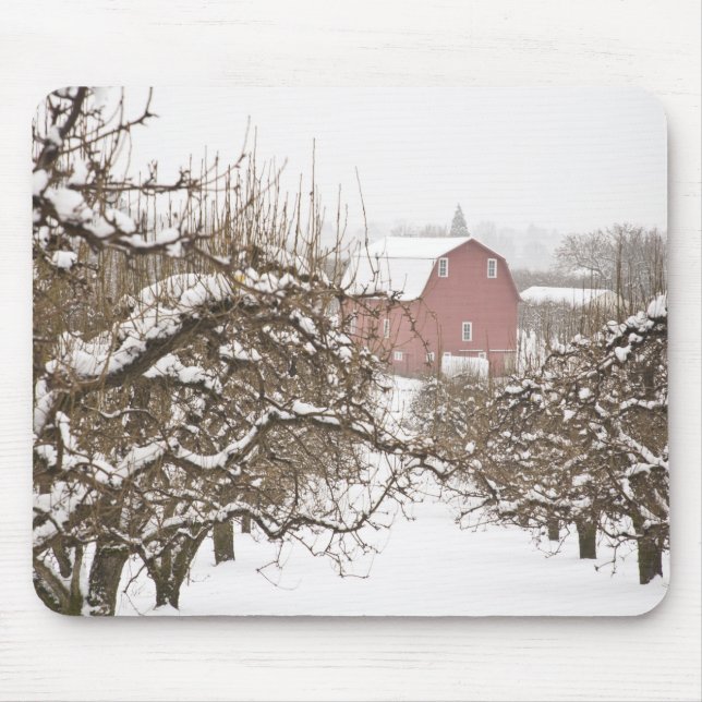 USA, Oregon, Hood River. Snow covered Apple Mouse Pad (Front)
