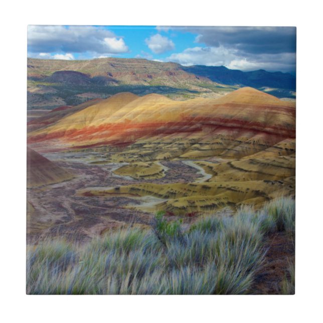USA, Oregon. Landscape Of The Painted Hills Tile (Front)