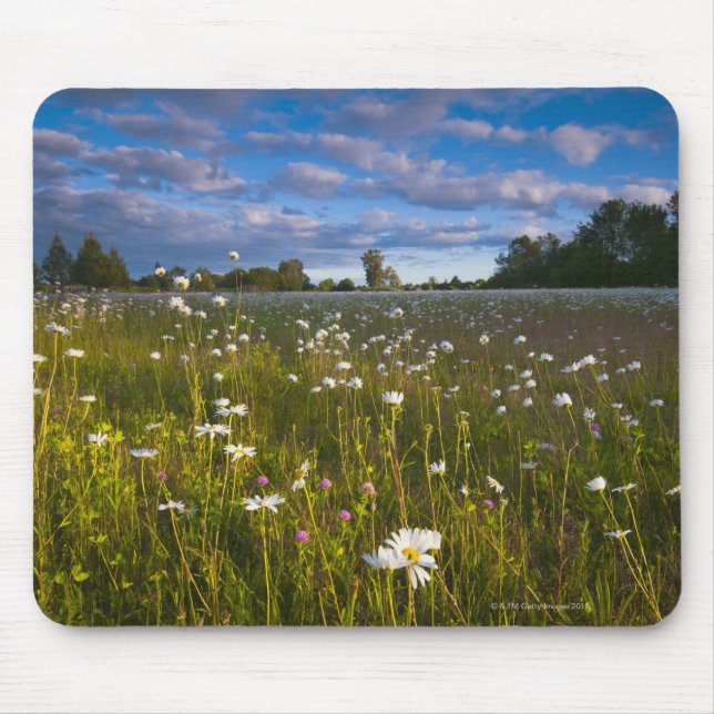 USA, Oregon, Marion County, Meadow with 2 Mouse Pad (Front)