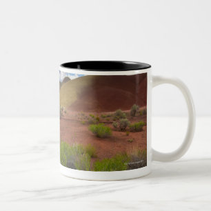 USA, Oregon, Mitchell, Pathway among Painted Two-Tone Coffee Mug