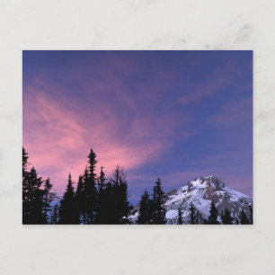 USA, Oregon, Mount Hood from Timberline Postcard