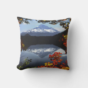 USA, Oregon, Mt. Hood National Forest. Cushion
