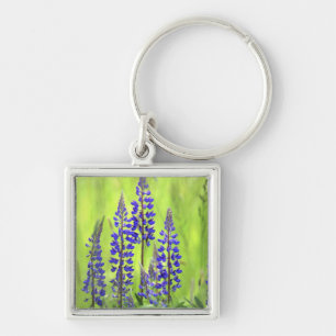 USA, Oregon, Mt. Hood National Forest, Lupine Key Ring