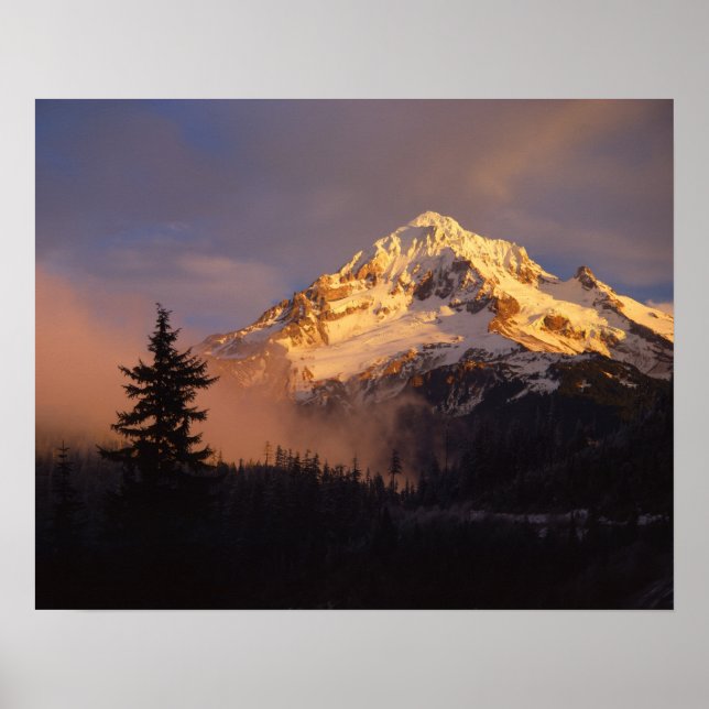 USA, Oregon, Mt. Hood National Forest. Rolling Poster (Front)